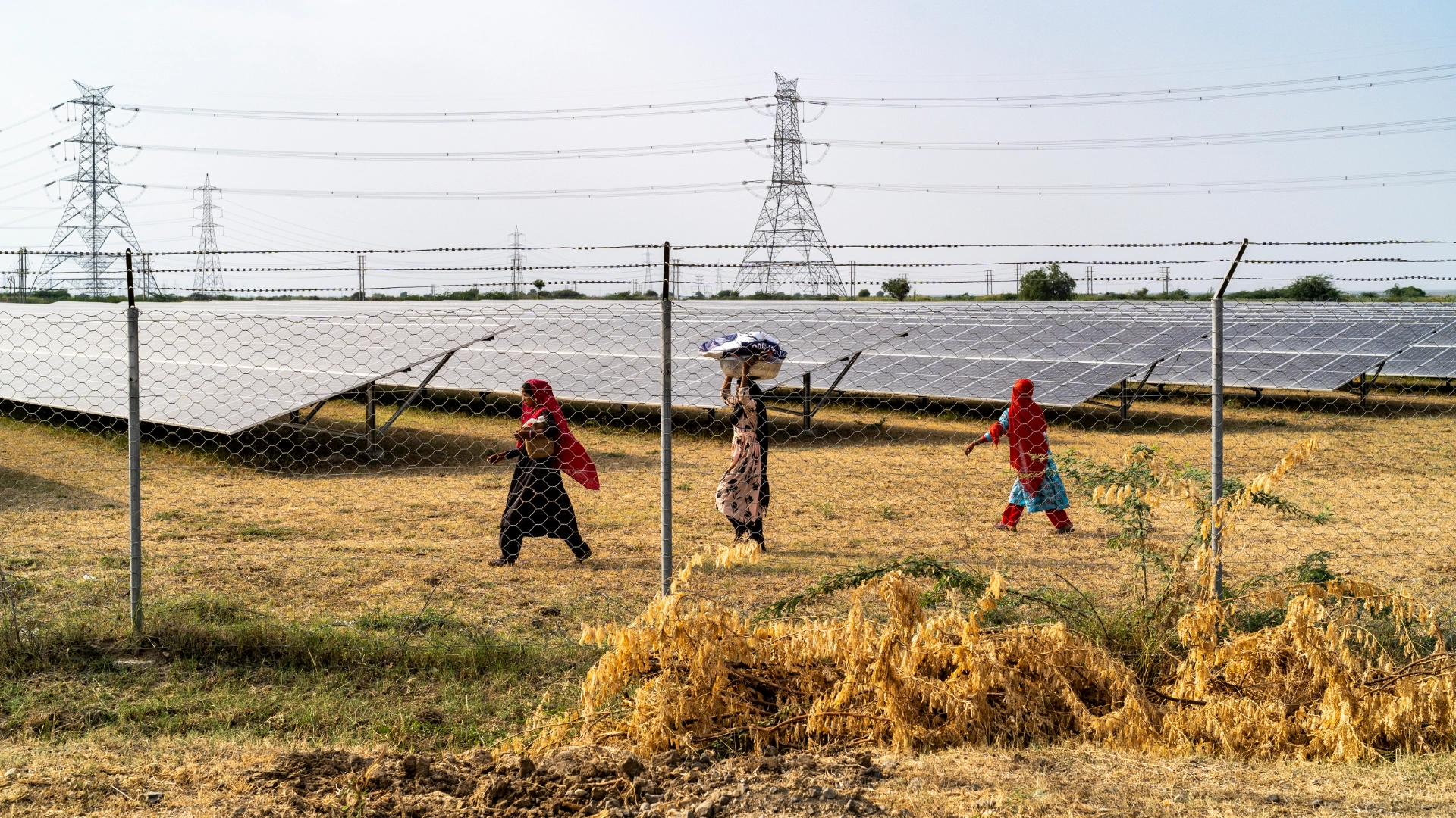 Women walking inside the solar park to fetch water